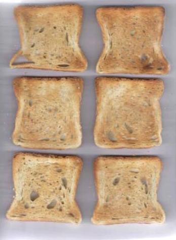 Внешний вид тостов из тостера марки Moulinex (сторона Б).JPG